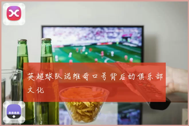 英超球队诺维奇口号背后的俱乐部文化