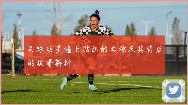 足球明星墙上贴画的名称及其背后的故事解析
