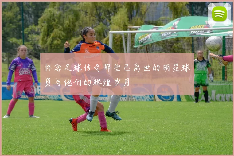怀念足球传奇那些已离世的明星球员与他们的辉煌岁月