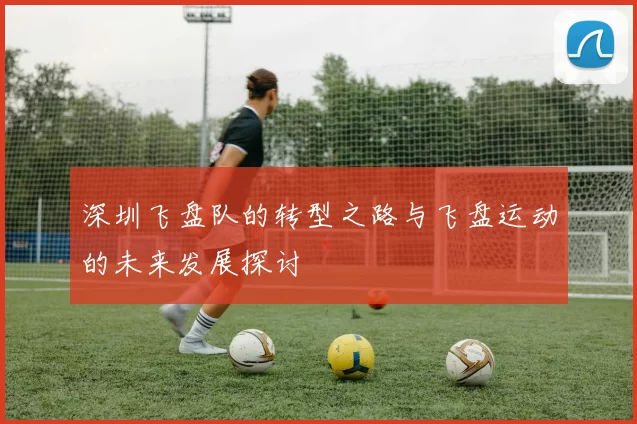 深圳飞盘队的转型之路与飞盘运动的未来发展探讨