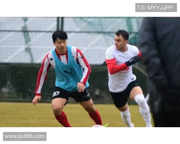 成都排球队实力引发热议球迷对球队表现与未来展望的不同声音