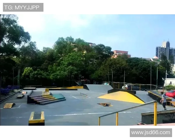 广州滑板队的快攻策略揭秘与深度分析滑板文化的魅力与挑战